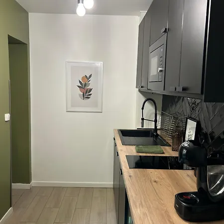 Appart'terrasse à 20 Min Des Champs élysées Apartamento Maisons-Laffitte
